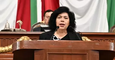 Diputada morenista Guadalupe Morales Rubio