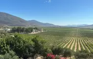 Tres histricas nominaciones nacionales para Salvia Blanca y Contemplacin en el Valle de Guadalupe