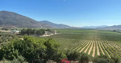 Valle de Guadalupe