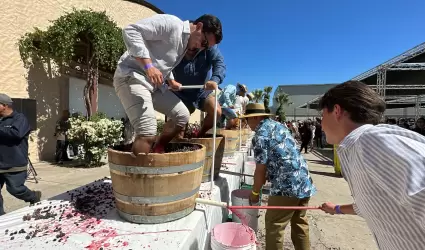 Fiesta de la vendimia de Valle de Guadalupe