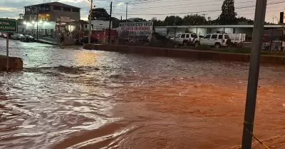Nogales