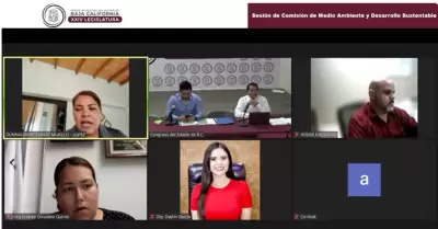 Apueban proyectos de dictamen en la Comisi�n de Medio Ambiente