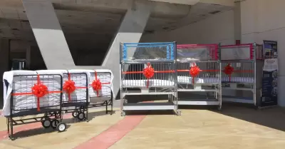 Donativo a beneficio de la ni�ez del albergue temporal