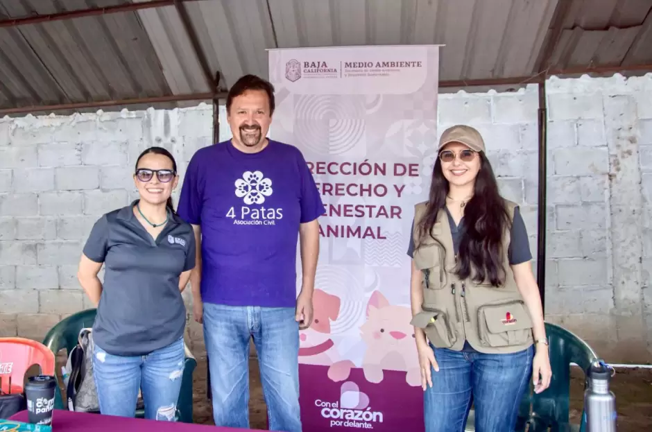 Campaña de esterilización para perros y gatos en Ensenada