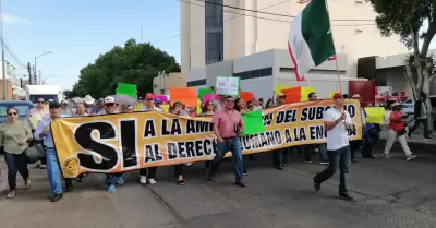 manifestaci�n CFE