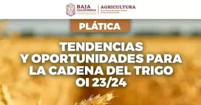 Pl�tica "Tendencias y Oportunidades para la Cadena del Trigo Oto�o-Invierno 23/2