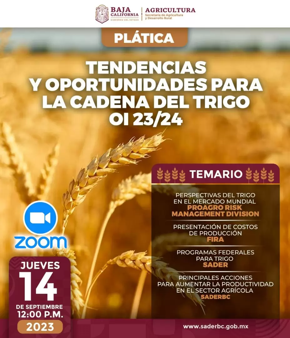 Pl�tica "Tendencias y Oportunidades para la Cadena del Trigo Oto�o-Invierno 23/24"