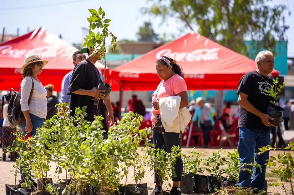 Incrementan �reas verdes en Tijuana