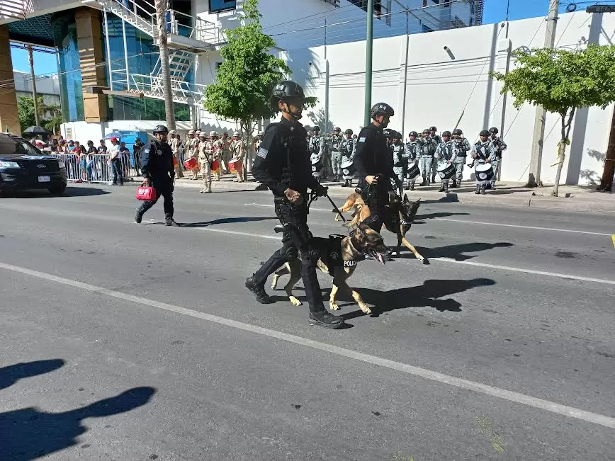 Desfile c�vico militar