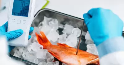 Inspecci�n de control de calidad de alimentos en pescado de mar