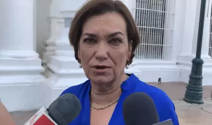 María Dolores del Río Sánchez, secretaria de Seguridad Pública