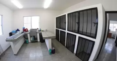 Gobierno del estado inaugura Cl�nica Veterinaria Municipal en Rosarito