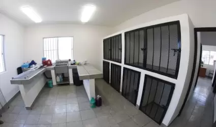 Gobierno del estado inaugura Cl�nica Veterinaria Municipal en Rosarito