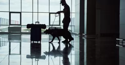 Oficial de seguridad con equipaje de control de perros de deteccin en el aeropu