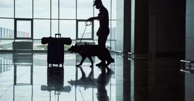 Oficial de seguridad con equipaje de control de perros de detecci�n en el aeropu