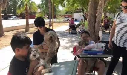Esterilizaci�n canina y felina