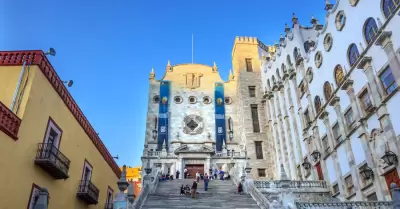 Chinches en Guanajuato