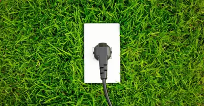 Desperdicio de Energ�a: Contribuyendo a la aparici�n de plagas y alteraciones en