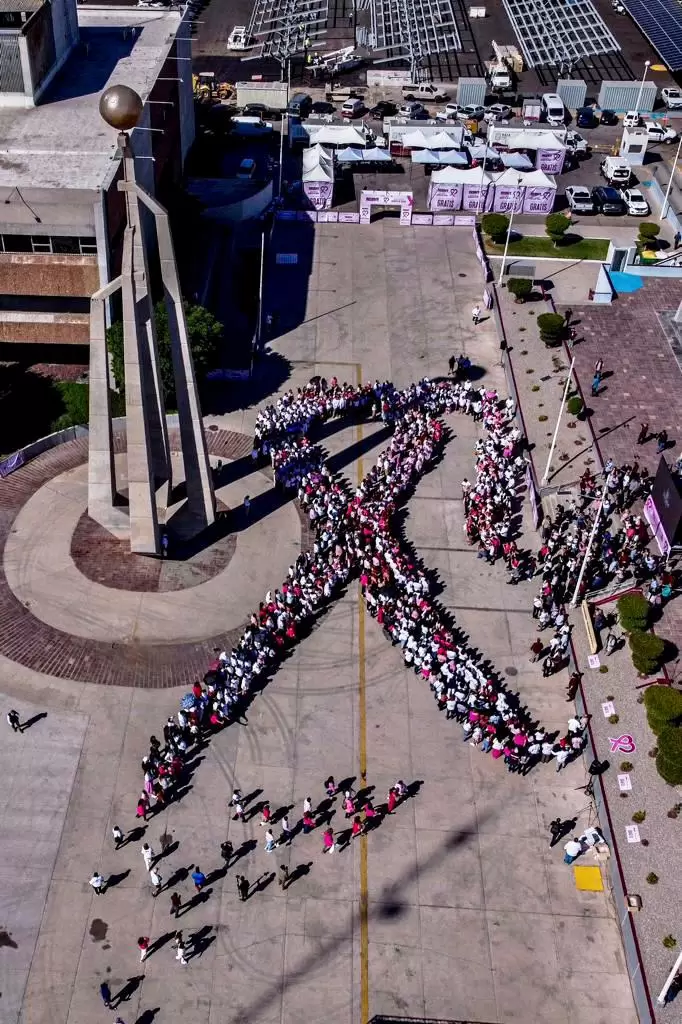 Lazo rosa en la lucha contra el c�ncer de mama