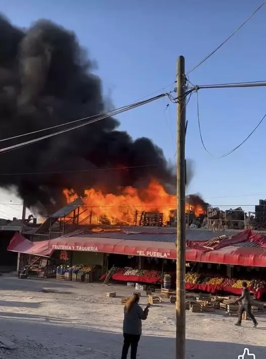 Incendio de fruter�a