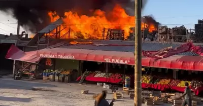 Incendio de fruter�a