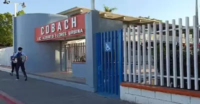 Cobach 1 ubicado en Ciudad Obregn