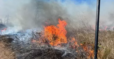 Incendio en zona de pastizal en Santa Anita