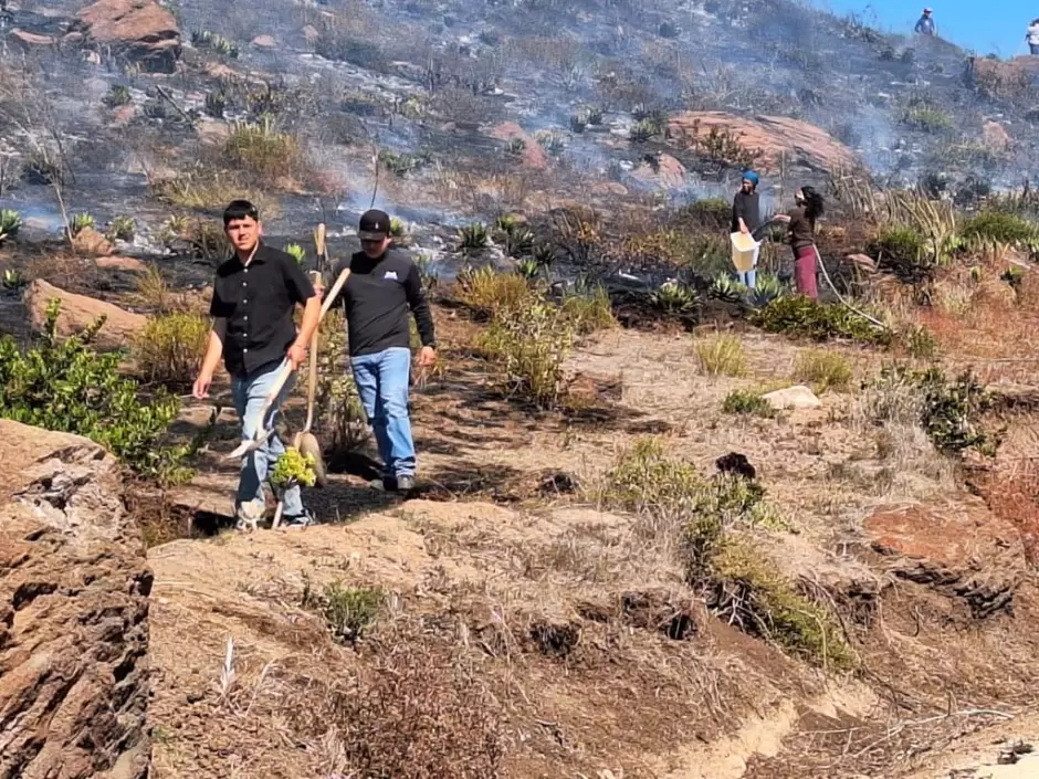 Incendio en zona de pastizal en Santa Anita