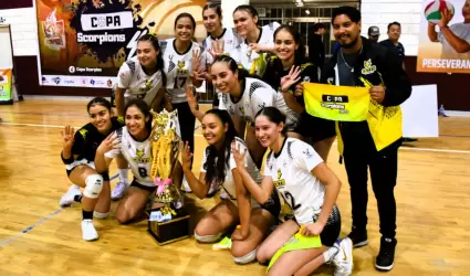 Voleibol femenil