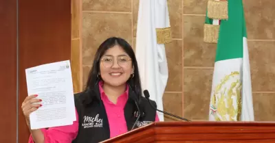 Diputada Liliana Michel S�nchez