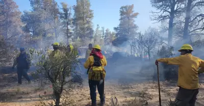 Controlado incendio forestal en el Ppila