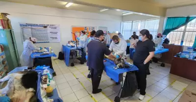 Jornada de esterilizaci�n de mascotas