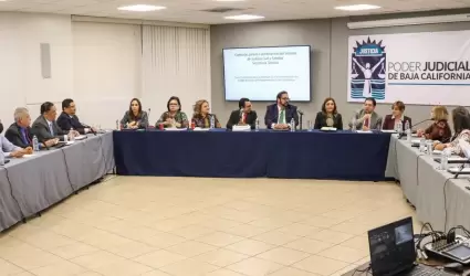 Lineamientos del nuevo c�digo de procedimientos civiles y familiares