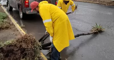 Sin afectaciones mayores por lluvias