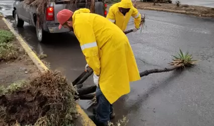 Sin afectaciones mayores por lluvias