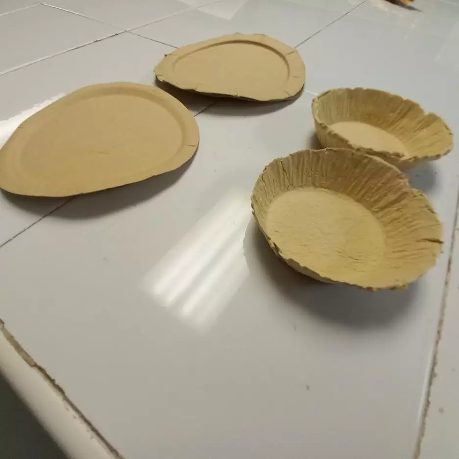 Platos desechables hechos de semilla de mango