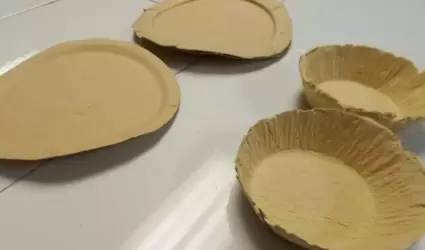 Platos desechables elaborados con semillas de mango