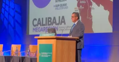 Relaci�n empresarial con Irlanda