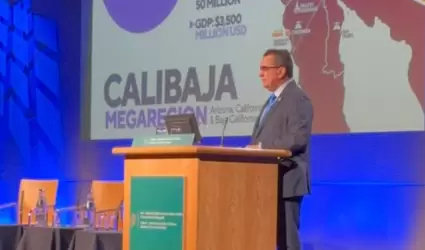 Relaci�n empresarial con Irlanda