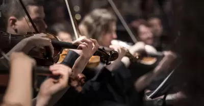 El 22 de noviembre se celebra el D�a del M�sico