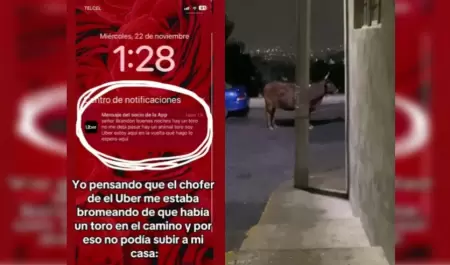 Uber y toro