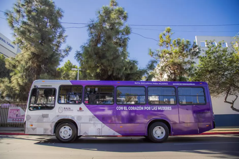 Avanza Transporte Violeta con movilidad ágil y segura para las bajacalifornianas