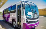 Avanza Transporte Violeta con movilidad ágil y segura para las bajacalifornianas: Marina del Pilar