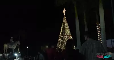 Encendido de rbol navideo en Ciudad Obregn
