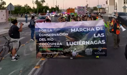 Marcha de las Luci�rnagas