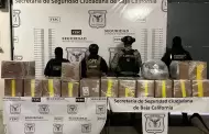 Confiscan FESC y SEDENA más de 300 kg de metanfetamina y más de 40 kg de cocaína