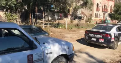 Captura CACyF jaur�a de perros