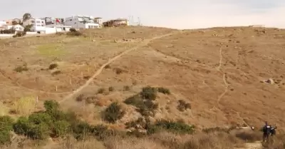 Vigilancia en cerro del Viga por perros ferales