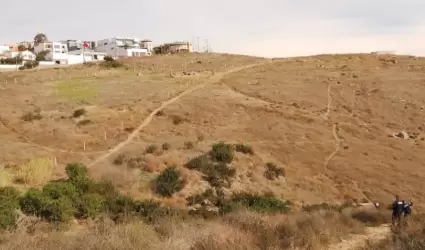 Vigilancia en cerro del Vigía por perros ferales