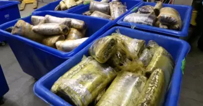 Confiscan ms de 10 mdd en narcticos en envo de pasta de jalapeo en Garita de